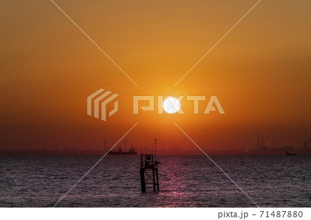三番瀬からの日の出 71487880