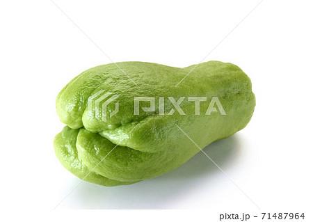 ハヤトウリ ハヤトウリ 71487964