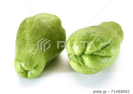 ハヤトウリ ハヤトウリ 71488002