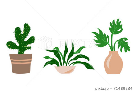Indoor garden plants in pots and fresh flowers in vases. Set for greenhouse design. Vector illustration Indoor garden plants in pots and fresh flowers in vases. Set for greenhouse design. Vector illustration 71489234