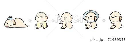 ラブラドールレトリーバーのイラストセット 病気 ラブラドールレトリーバーのイラストセット 病気 71489353