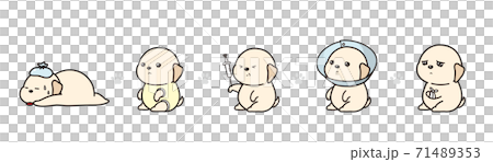 ラブラドールレトリーバーのイラストセット 病気 ラブラドールレトリーバーのイラストセット 病気 71489353