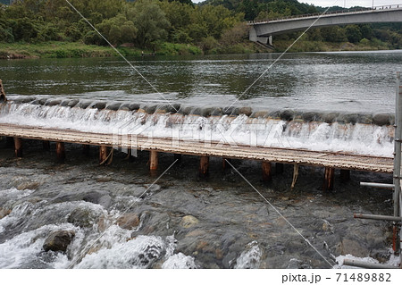 延岡市大瀬川観光鮎やな漁イベント 71489882