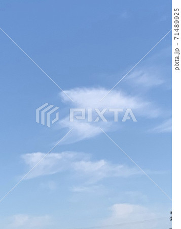 空にサメ上と下 空にサメ上と下 71489925