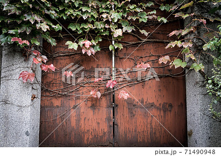 開かずの扉 71490948