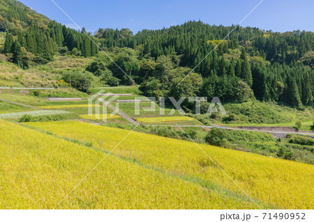 栃倉の棚田【秋】 栃倉の棚田【秋】 71490952