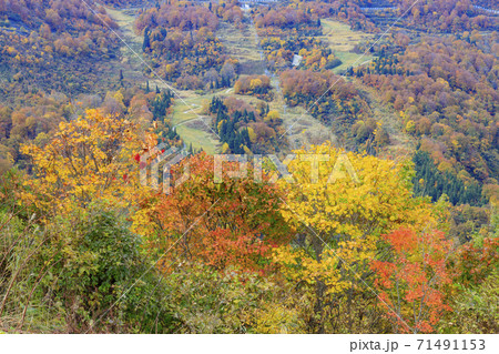 湯沢高原　パノラマパーク　アルプの里 71491153