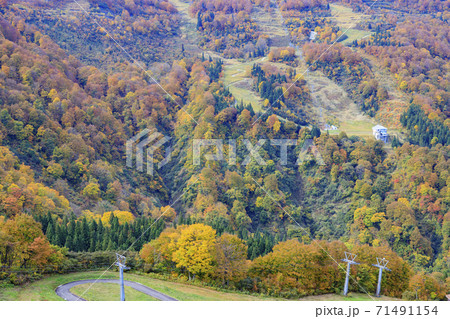 湯沢高原　パノラマパーク　アルプの里 71491154
