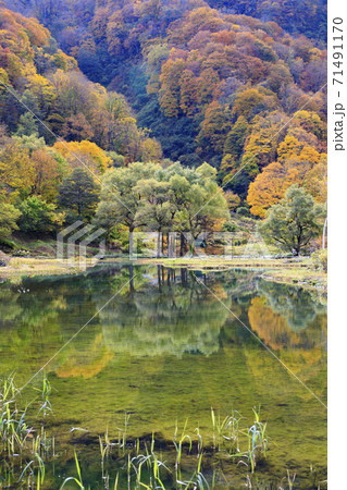 湯沢高原 パノラマパーク アルプの里 湯沢高原 パノラマパーク アルプの里 71491170