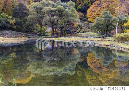 湯沢高原　パノラマパーク　アルプの里 71491171