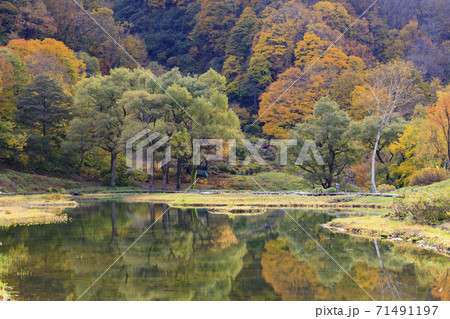 湯沢高原 パノラマパーク アルプの里 湯沢高原 パノラマパーク アルプの里 71491197
