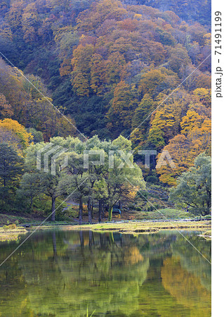 湯沢高原 パノラマパーク アルプの里 湯沢高原 パノラマパーク アルプの里 71491199