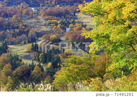 湯沢高原　パノラマパーク　アルプの里 71491201