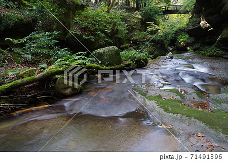 新発田市剣龍峡の風景 新発田市剣龍峡の風景 71491396