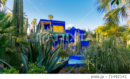 Vivid blue building and garden of captus and exotic plants. Majorelle Garden. Concept of travel and architecture. Marrakech, Morocco 71492141
