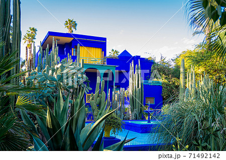 Vivid blue building and garden of captus and exotic plants. Majorelle Garden. Concept of travel and architecture. Marrakech, Morocco Vivid blue building and garden of captus and exotic plants. Majorelle Garden. Concept of travel and architecture. Marrakech, Morocco 71492142