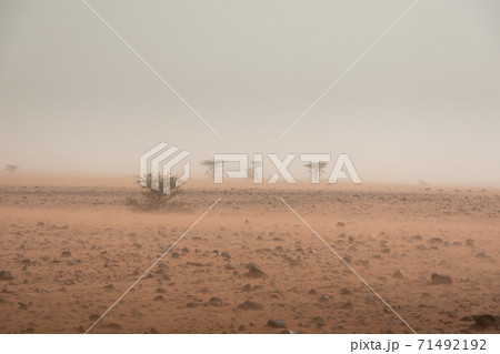 Sandstorm in rocky desert terrain. Erg Chigaga Morocco 71492192