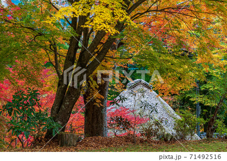 秋の五家荘平家の里の紅葉 秋の五家荘平家の里の紅葉 71492516