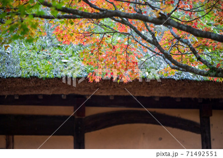 秋の五家荘平家の里の紅葉 秋の五家荘平家の里の紅葉 71492551