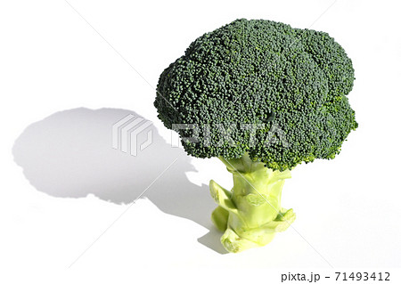 ブロッコリー ブロッコリー 71493412