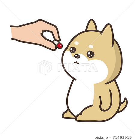 犬に薬を飲ませるのイラスト素材