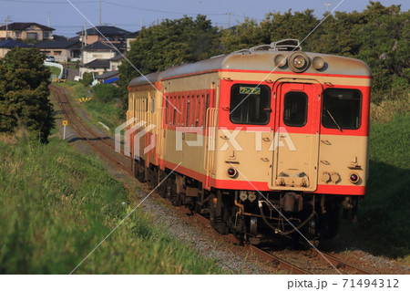 ひたちなか海浜鉄道 キハ205,キハ2005_2013/5/5撮影 71494312