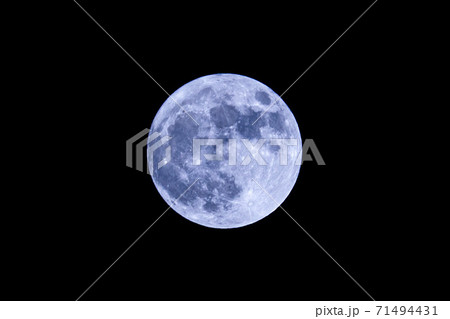 ブルームーン ブルームーン 71494431
