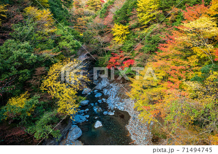 秋の五家荘紅葉風景 秋の五家荘紅葉風景 71494745