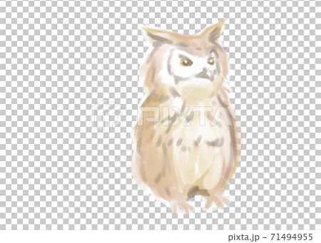 フクロウ ミミズク 水彩タッチのイラスト素材