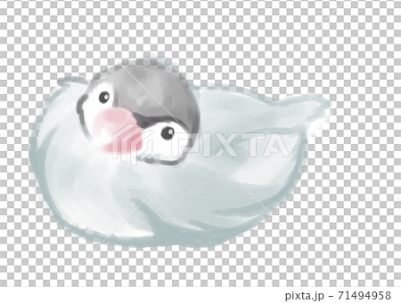 可愛的文學鳥水彩觸 71494958