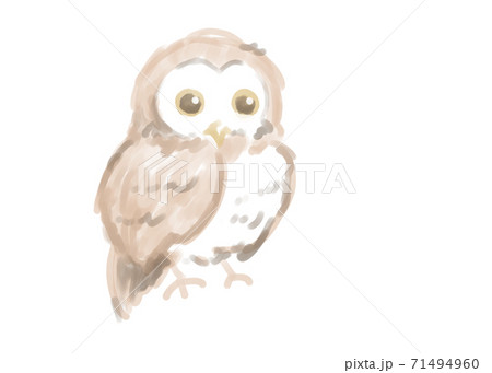 Cute Owl Watercolor Touch Stock Illustration
