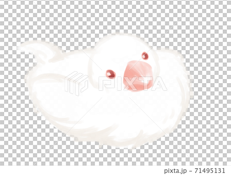 可愛的文學鳥（白色）水彩筆觸 71495131