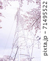 満開の桜と送電塔【色鉛筆】 71495522