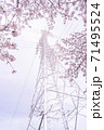 満開の桜と送電塔【色鉛筆】 71495524