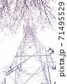 満開の桜と送電塔【色鉛筆】 71495529