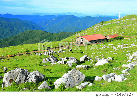 四国カルスト(姫鶴平) 四国カルスト(姫鶴平) 71497227