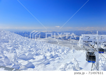 晴天下の蔵王樹氷群 71497631