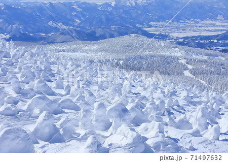 晴天下の蔵王樹氷群 71497632