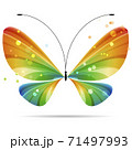 colorful multicolor striped bright butterfly, vector illustration 71497993