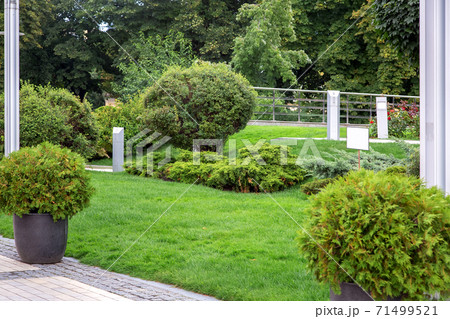 stone pot with an evergreen bush on a walkway made of stone tiles in a park with a green landscape, greenery background theme, nobody. 71499521
