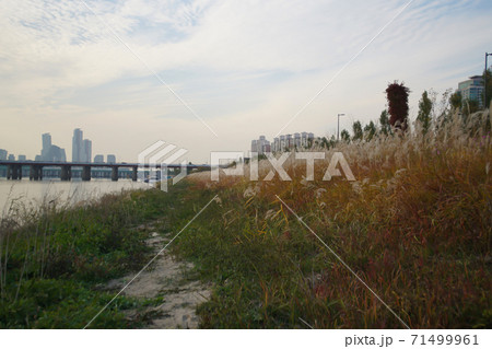 ソウル 漢江 動作大橋 71499961