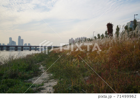 ソウル 漢江 動作大橋 71499962