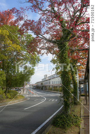岡山空港の秋、紅葉が始まり観光シーズン到来 岡山空港の秋、紅葉が始まり観光シーズン到来 71500162