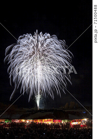 【長野県】長野えびす講煙火大会 71500488