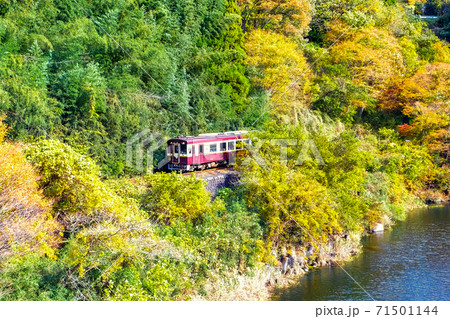紅葉の森と鉄道 71501144