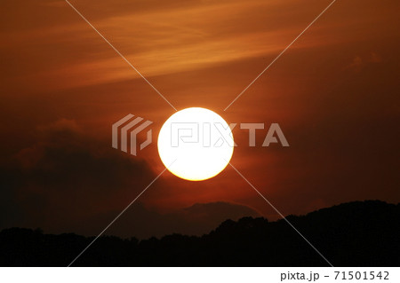 太陽 太陽 71501542