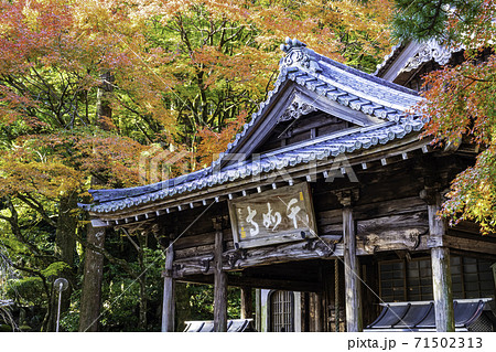 紅葉が美しい雷山千如寺大悲王院（福岡県糸島市） 71502313