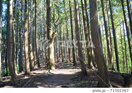 山へ行こう 山へ行こう 71502367