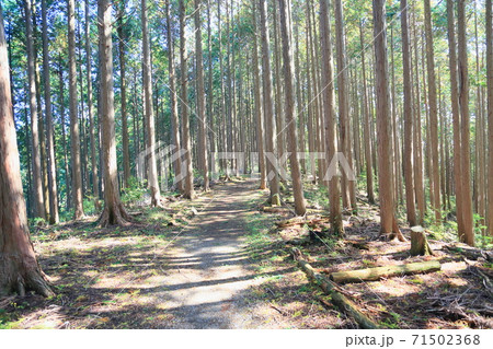 山へ行こう 山へ行こう 71502368