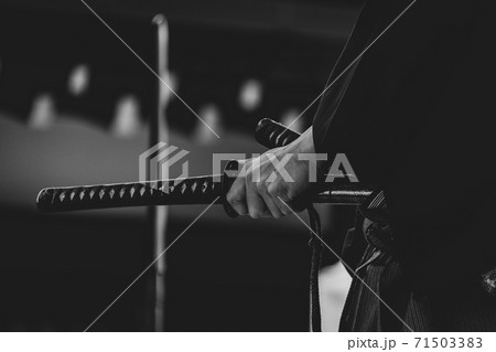 剣術の演武 剣術の演武 71503383